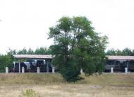 Десна з panoramio.com