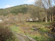 Вербка з panoramio.com