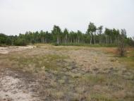 Римачі з panoramio.com