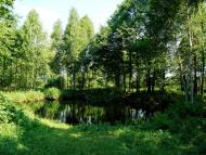 Уріччя з panoramio.com