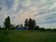 Вільха з panoramio.com