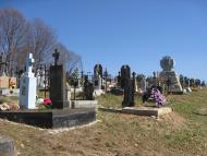 Лозино з panoramio.com