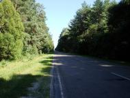 Вишня - Останні фото