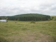 Чижівка з panoramio.com