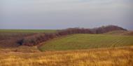 Новий Гребеник з panoramio.com