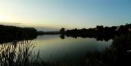 Зарванці з panoramio.com - Зарванцы