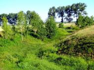 Антонівка з panoramio.com