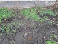 Мостове у лютому 2014