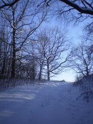 Петровское - Последние фото