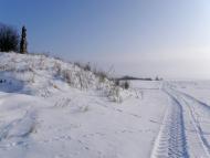 Заболоття з panoramio.com