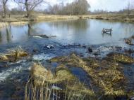 Брусилів з panoramio.com