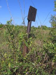 Старі Безрадичі з panoramio.com