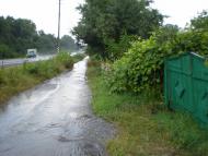 Осикове з panoramio.com