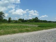 Кураж з panoramio.com