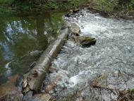 Микишівка з panoramio.com