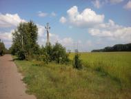 Терехівка з panoramio.com