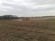 Шпитьки з panoramio.com