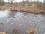 Томашгород з panoramio.com