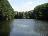 Рихли з panoramio.com