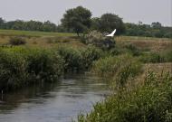 Леніна з panoramio.com