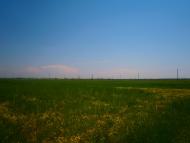 Сюрте з panoramio.com