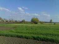 Млинок з panoramio.com