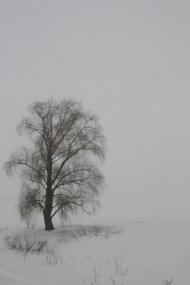 Ревне з panoramio.com