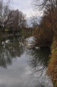 Липиці з panoramio.com