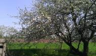 Радянське з panoramio.com