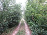 Головеньки з panoramio.com