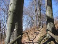 Лозино з panoramio.com