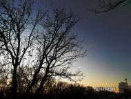 Миколаївка Перша - Останні фото