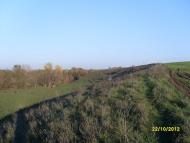 Коржова - Останні фото