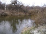 Царичанка з panoramio.com