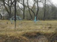 Машеве з panoramio.com