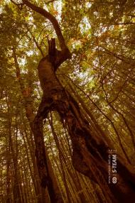 Мокра з panoramio.com