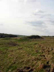 Любомирівка з panoramio.com