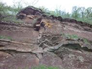 Чернелиця з panoramio.com