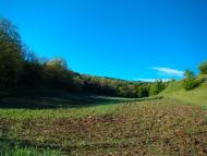 Грушківка з panoramio.com