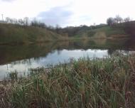 Лиса Гора з panoramio.com