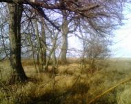 Зуровка - Последние фото