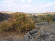 Завтурове з panoramio.com