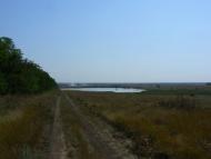 Орлинське з panoramio.com