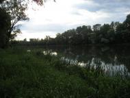 Жовте з panoramio.com