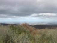 Земляничне з panoramio.com