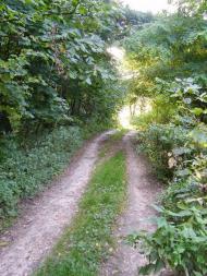 Рихли з panoramio.com