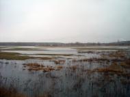 Стара Покровка з panoramio.com