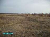 Петропавлівка з panoramio.com