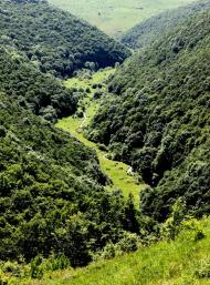 Корнів з panoramio.com