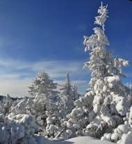 Кузьминець з panoramio.com